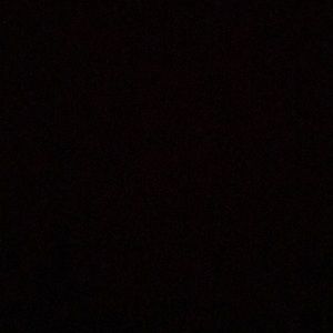 Meet your Posher, Zoey